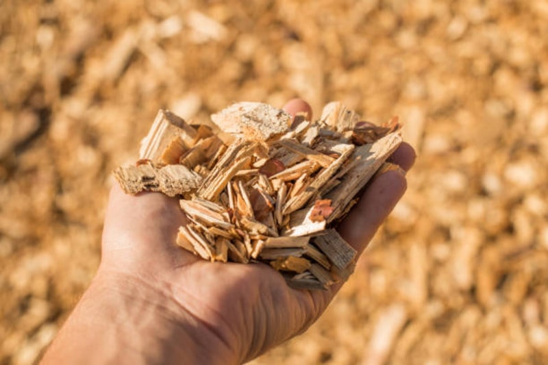 Innovative Graphite Production from Wood Chips: A Game-Changer for EV Batteries